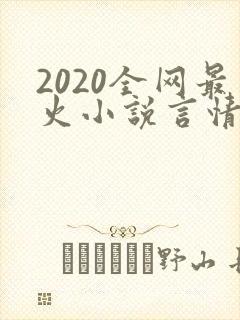 2020全网最火小说言情