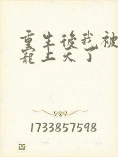 重生后我被大佬宠上天了