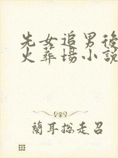 先女追男后追妻火葬场小说