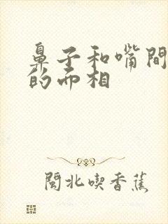 鼻子和嘴间距大的面相