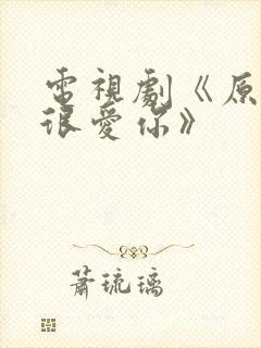 电视剧《原来我很爱你》