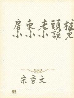 房东老头校花宁小小小说免费阅读