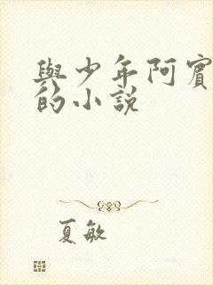 与少年阿宾相似的小说