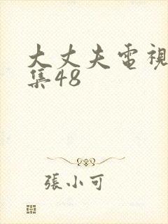 大丈夫电视剧全集48