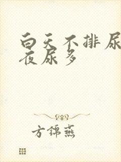 白天不排尿晚上夜尿多