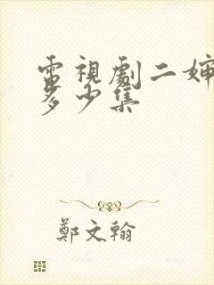 电视剧二婶一共多少集