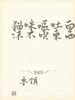 猫咪呕吐白色泡沫不吃东西能自愈吗