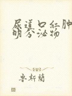 尿道口红肿流透明分泌物