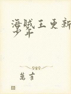 海贼王更新了多少年封面