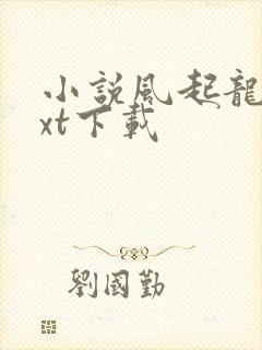 小说风起龙城txt下载