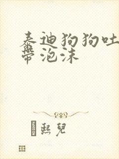 泰迪狗狗吐黄水带泡沫