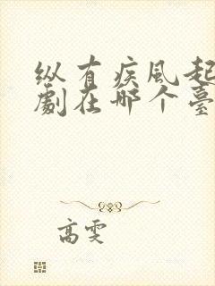 纵有疾风起电视剧在哪个台播出