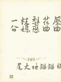 一枝梨花压海棠公媳恋曲曲