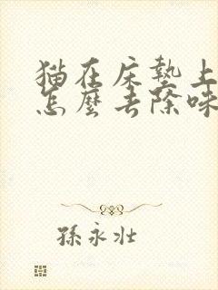 猫在床垫上拉尿怎么去除味道