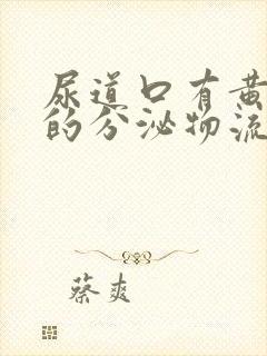 尿道口有黄白色的分泌物流出,怎么回事啊封面