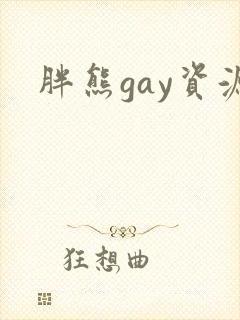 胖熊gay资源封面