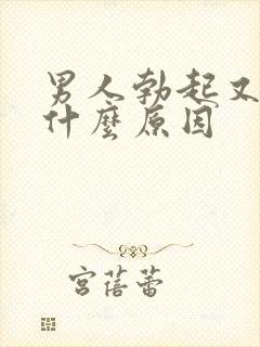 男人勃起又软了什么原因