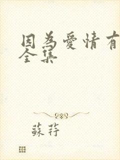 因为爱情有多美全集