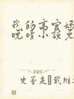 我的高官妈妈苏晚晴小说免费阅读封面