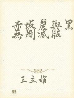 赤坂丽与黑人的无删减版封面