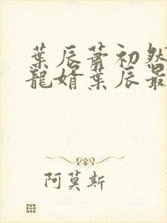 叶辰萧初然上门龙婿叶辰最新