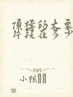 顶楼的大象经典片段在多少封面