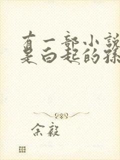 有一部小说主角是白起的孙子封面