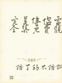 完美伴侣电视剧全集免费观看下载