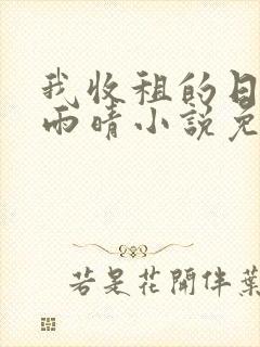 我收租的日子林雨晴小说免费阅读封面