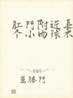 肛门附近长了一个小肉球不痛不痒