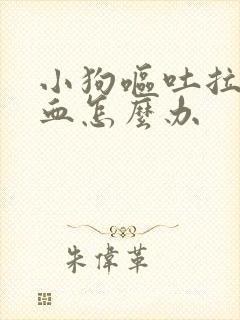 小狗呕吐拉稀带血怎么办