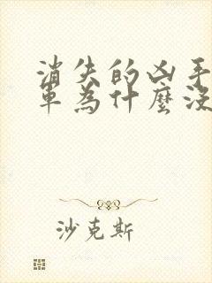 消失的凶手唐浩军为什么没和其他尸