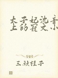 太子妃沈音和皇上的宠文小说