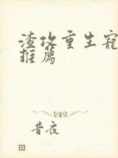 渣攻重生宠受文推荐封面