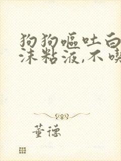 狗狗呕吐白色泡沫粘液,不吃东西封面