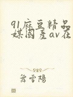 91麻豆精品传媒国产av在线观看