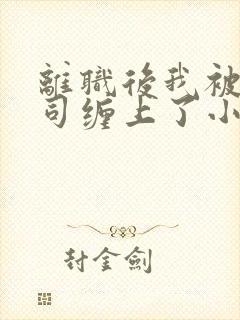 离职后我被前上司缠上了小说在线阅读