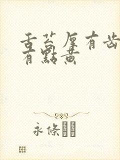 舌苔厚有齿痕还有点黄