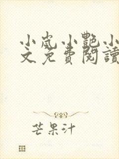 小岚小艳小说全文免费阅读最新章节