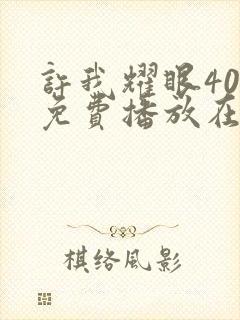 许我耀眼40集免费播放在线观看