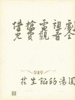 借枪电视剧高清免费观看全集封面