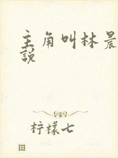 主角叫林晨的小说