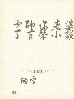 少帅你老婆又跑了有声小说免费听封面