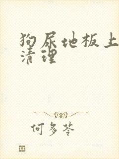 狗尿地板上怎么清理