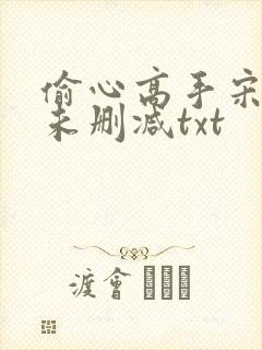 偷心高手宋青书未删减txt