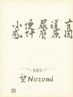 小便尿道有刺痛感什么原因