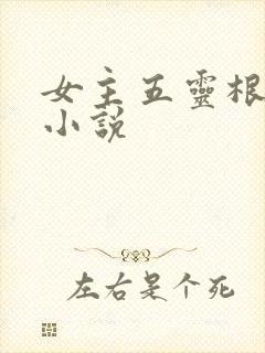 女主五灵根修仙小说