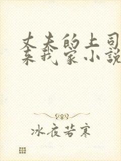 丈夫的上司王总来我家小说免费阅读