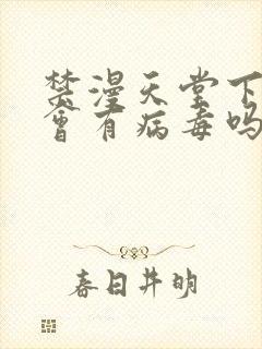 禁漫天堂下载后会有病毒吗