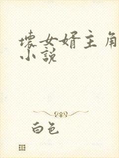 坏女婿主角强子小说封面